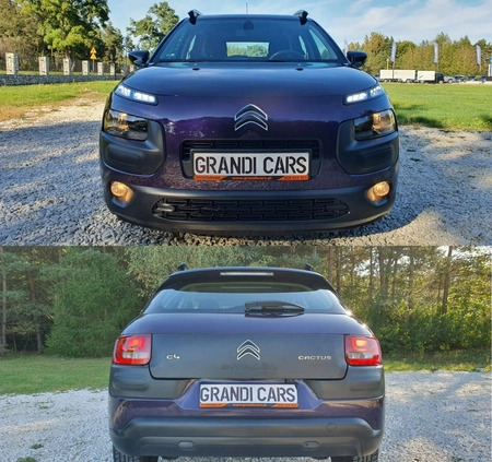 Citroen C4 Cactus cena 35800 przebieg: 187278, rok produkcji 2015 z Mikołów małe 781